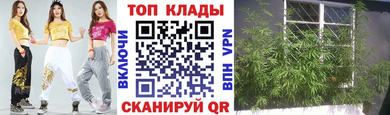 Купить наркотик Заводоуковск Каннабис  COCAIN  АМФЕТАМИН  Меф мяу мяу  Гашиш 
