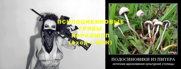 мяу мяу кристалл Нефтекумск