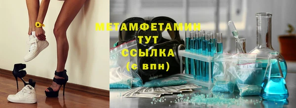 индика Нягань
