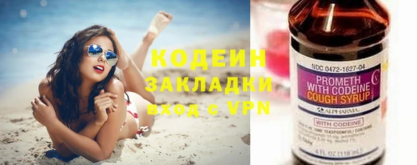 индика Нягань