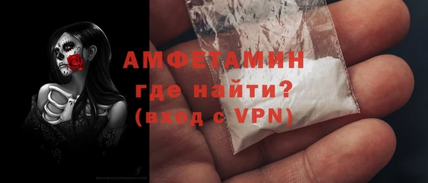 сатива Новокубанск