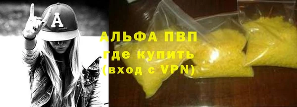 индика Переславль-Залесский