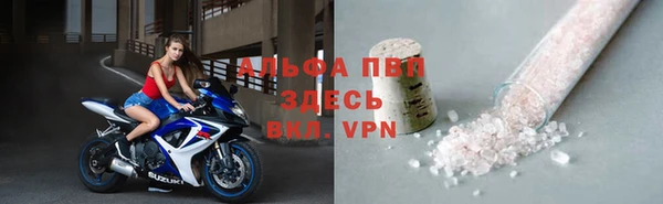 индика Переславль-Залесский
