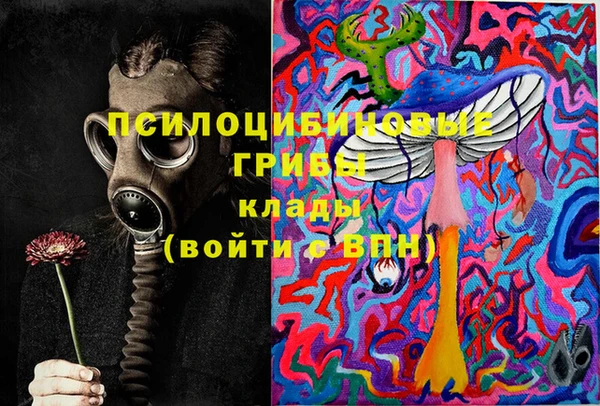 меф Пересвет