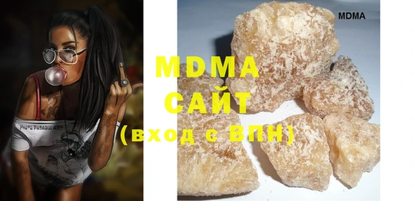 индика Нягань