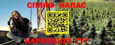 гашик Гусиноозёрск