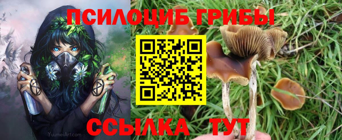Заводоуковск  Галлюциногенные грибы GOLDEN TEACHER  Галлюциногенные грибы Magic Shrooms  Вход с VPN 