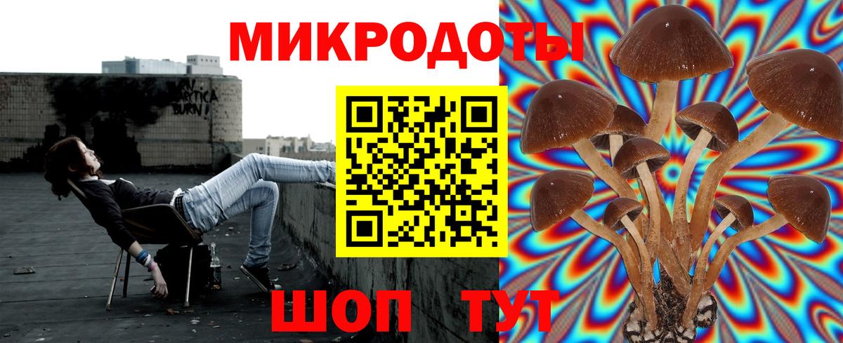 Галлюциногенные грибы мухоморы  Заводоуковск 