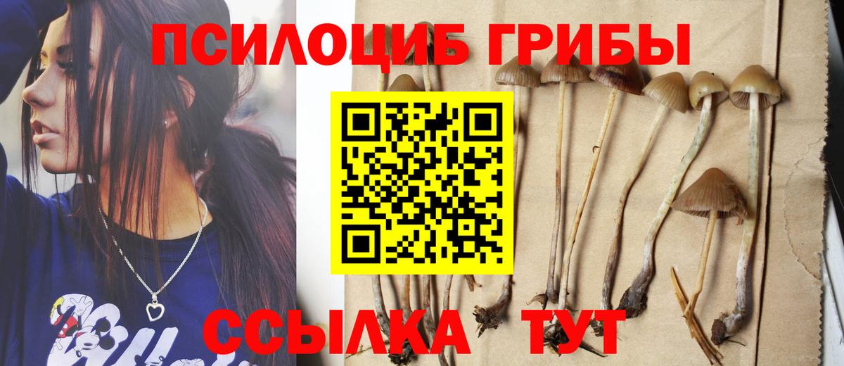 Псилоцибиновые грибы Magic Shrooms Заводоуковск